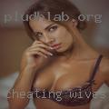 Cheating wives discrete